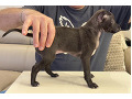 -small-2