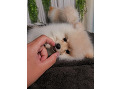 -small-0