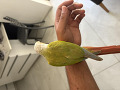 -small-1