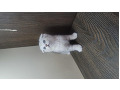 -small-1