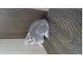 -small-3