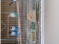 -small-3