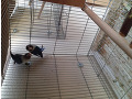 -small-1