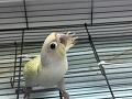 -small-1