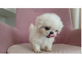 -small-1
