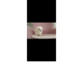 -small-3