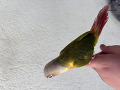 -small-1