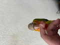 -small-2