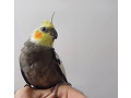 -small-2