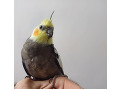 -small-1