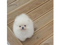 -small-1
