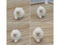 -small-2