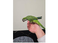 -small-2