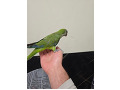 -small-3