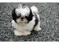 -small-0