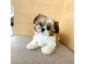 -small-0
