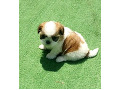 -small-2