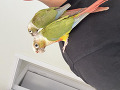 -small-2