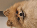 -small-1