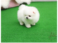 -small-0