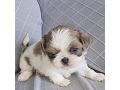 -small-1
