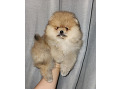 -small-3