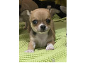 -small-2