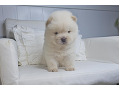 -small-2