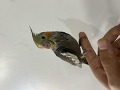 -small-0