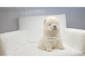 -small-3