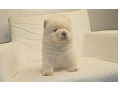 -small-1