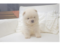 -small-0