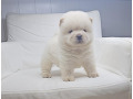 -small-2