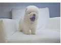 -small-3