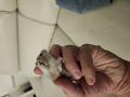 -small-0