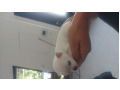 -small-0