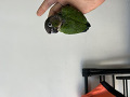 -small-0