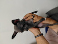 -small-2