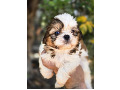 -small-5
