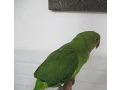 -small-1
