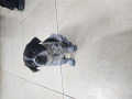 -small-7