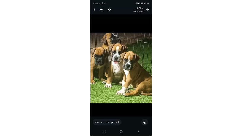 -big-1