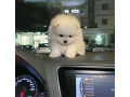-small-0