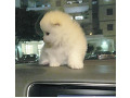 -small-2