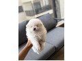-small-2