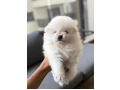 -small-0