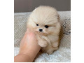 -small-1