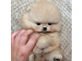 -small-2
