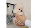 -small-2