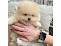 -small-3